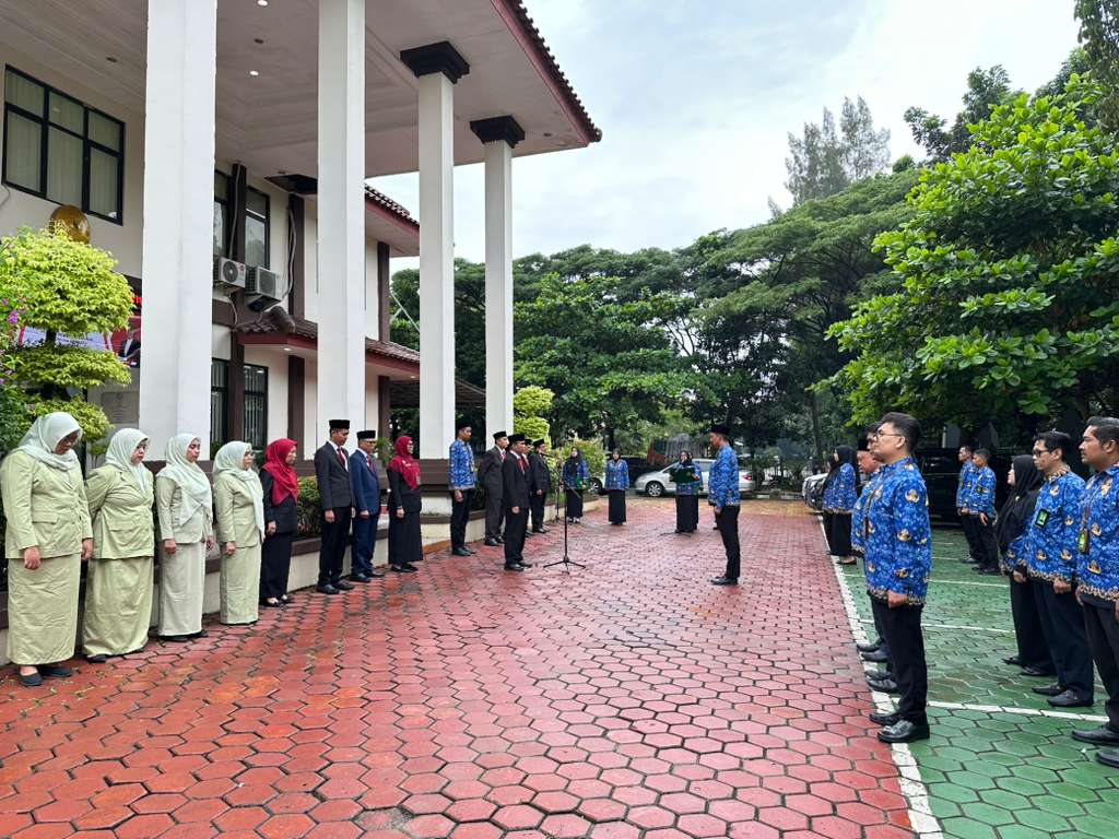 WhatsApp Image 2025 10 28 at 08.45.11